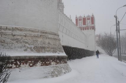 Москва.   Вид на Новодевичий монастырь.