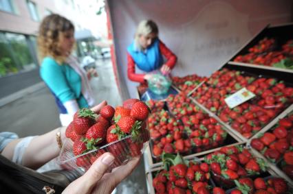 Москва.    Продажа клубники  на ярмарке выходного дня.