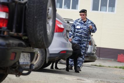 Екатеринбург. Полицейский-кинолог с своей служебной собакой во время поиска взрывчатых веществ на областных соревнованиях кинологов МВД и Таможни