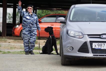 Екатеринбург. Полицейский-кинолог с своей служебной собакой во время поиска взрывчатых веществ на областных соревнованиях кинологов МВД и Таможни