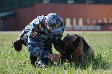 Екатеринбург. Полицейский-кинолог с своей служебной собакой во время выполнения задания на областных соревнованиях кинологов МВД и Таможни