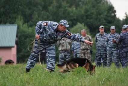 Екатеринбург. Полицейский-кинолог с своей служебной собакой во время выполнения задания на областных соревнованиях кинологов МВД и Таможни