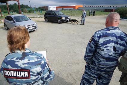 Екатеринбург. Полицейский-кинолог с своей служебной собакой во время поиска взрывчатых веществ на областных соревнованиях кинологов МВД и Таможни