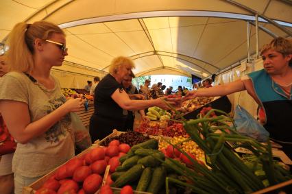 Москва.   Женщина покупает клубнику на ярмарке выходного дня.