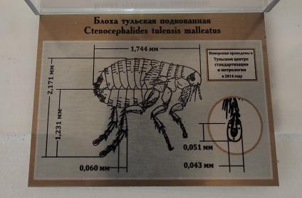 Тула. Экспонат музея `Старая Тульская аптека` - подкованная блоха. В 2002 году мастер Николай Алдунин подковал сушеную блоху четырьмя металлическими подковами, каждая из которых крепится тремя гвоздями. Рассматривают ее в микроскоп.