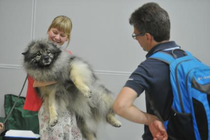 Москва.   На всемирной выставке собак World Dog Show 2016 в МВЦ `Крокус Экспо`.