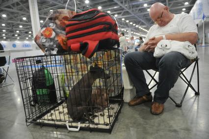 Москва.   На всемирной выставке собак World Dog Show 2016 в МВЦ `Крокус Экспо`.