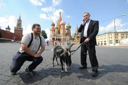 Москва. Фермер-сыровар Олег Сирота и директор Приморского сафари-парка Дмитрий Мезенцев выгуливают козла Тимура по центру Москвы.