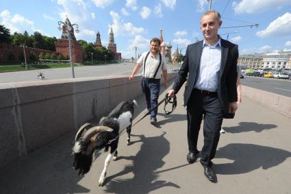 Москва. Фермер-сыровар Олег Сирота и директор Приморского сафари-парка Дмитрий Мезенцев выгуливают козла Тимура по центру Москвы.