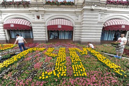 Москва. Ковер из живых цветов   перед ГУМом  во время проведения фестиваля  цветов.