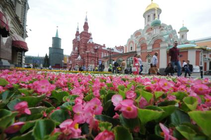 Москва. Ковер из живых цветов   перед ГУМом  во время проведения фестиваля  цветов.