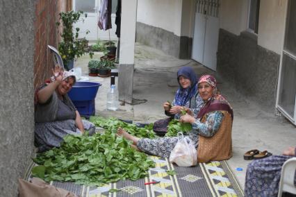 Турция, Памуккале. Местные жительницы перебирают виноградные листья.