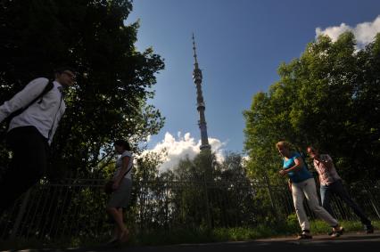 Москва.  Вид на Останкинскую телебашню.