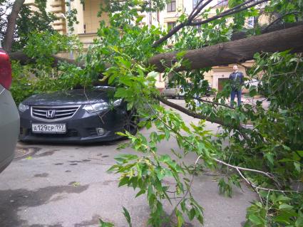 Москва.  Автомобиль, пострадавший от поваленных во время урагана деревьев.