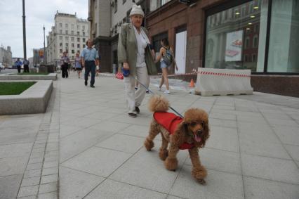 Москва.  Дама с собачкой на Тверской улице.