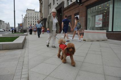 Москва.  Дама с собачкой на Тверской улице.