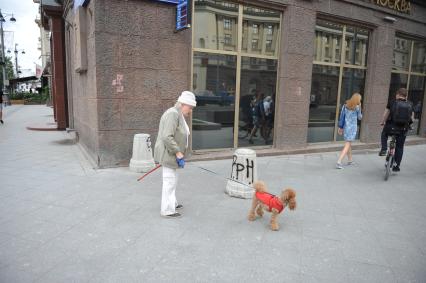 Москва.  Дама с собачкой на Тверской улице.