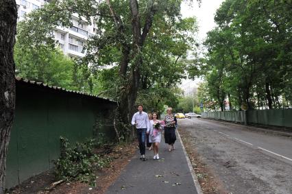 Москва.  Сломанные ураганом деревья на улице города.