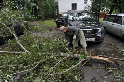 Москва.  Сломанное ураганом дерево перегородило улицу.