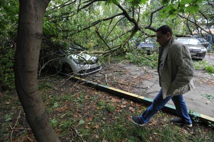 Москва.   Машины, на которые  упали сломанные ураганом ветки деревьев.