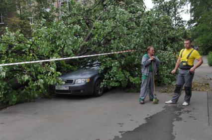 Москва. Дерево упало на припаркованный автомобиль.