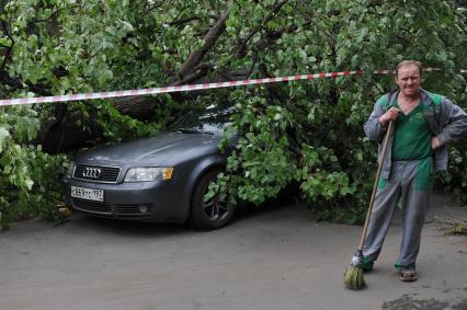 Москва. Дерево упало на припаркованный автомобиль.