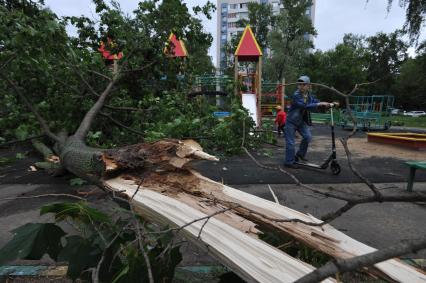 Москва.  Сломанные ураганом ветки и деревья на детской площадке.