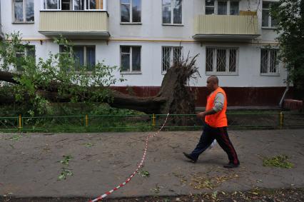 Москва. Работники коммунальных служб убирают   последствия урагана.