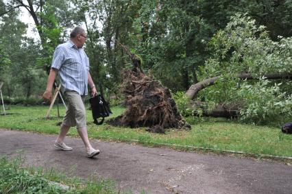 Москва. Мужчина  рядом со сломанным ураганом деревом.