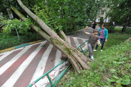 Москва.  Сломанное ураганом дерево перегородило улицу.