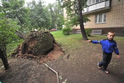 Москва.  Последствия урагана в городе.