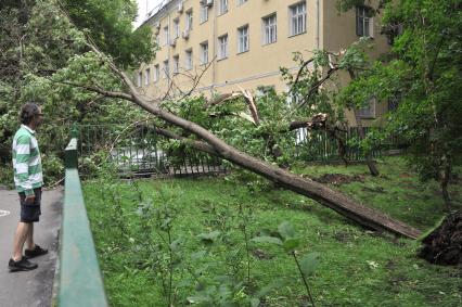 Москва.  Последствия урагана в городе.