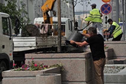 Москва. Высаживание деревьев на Тверской улице.