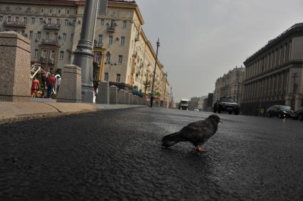 Москва. Тверская улица после реконструкции.