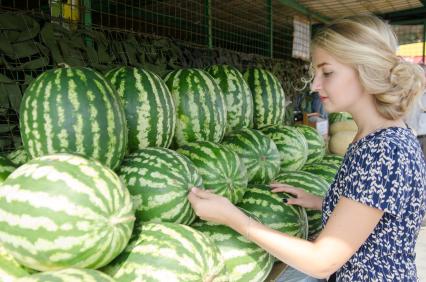 Самара.  Девушка выбирает арбуз на рынке.