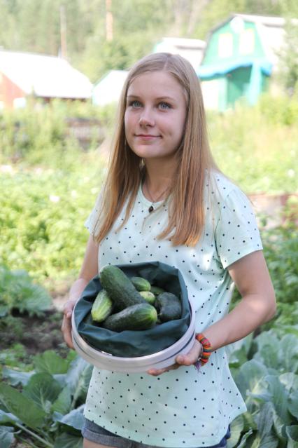 Иркутск. Девушка  собрала огурцы.