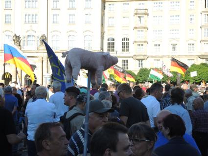 Германия,Дрезден.  На митинге в Дрездене   люди несут  плюшевых свиней , как символ протеста против халяльной еды.