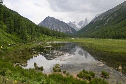 Алтай. Барнаул. Северо-Чуйский хребе. Вид на долину реки Шавла.