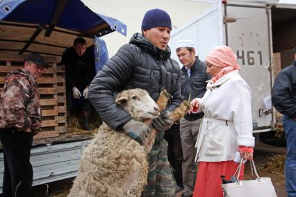 Уфа. Продажа баранов в канун исламского праздника Курбан-Байрам.