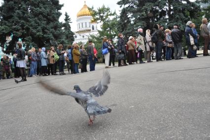 Москва.  Очередь на выставку ` Рафаэль . Поэзия образа` в музей изобразительных искусств им. А.С. Пушкина.