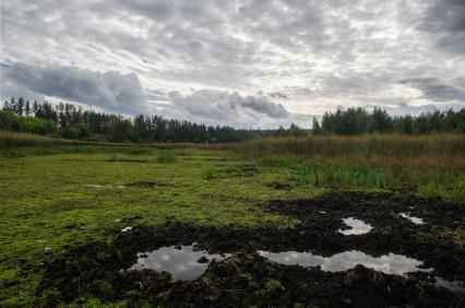 Самара. Пейзаж в самарской области.