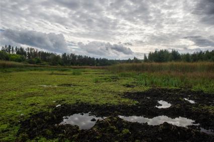 Самара.  Пейзаж в самарской области.