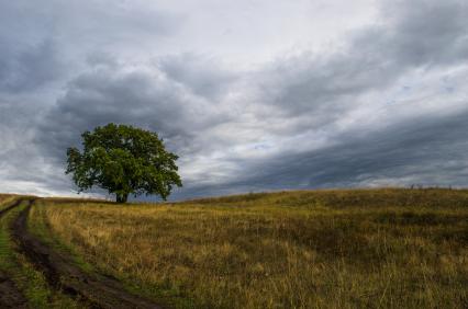 Самара.  Пейзаж в самарской области.