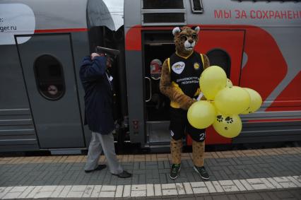 Москва. Проводник  и ростовая кукла перед отправлением поезда  `Россия` Москва - Владивосток в тематическом оформлении,приуроченном ко Дню тигра, на платформе Ярославского вокзала.