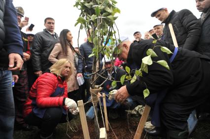 Москва. Бывший мэр Москвы Юрий Лужков с супругой Еленой Батуриной во время посадки фруктового дерева на субботнике в честь его 80-летия  в музее-заповеднике `Коломенское`.