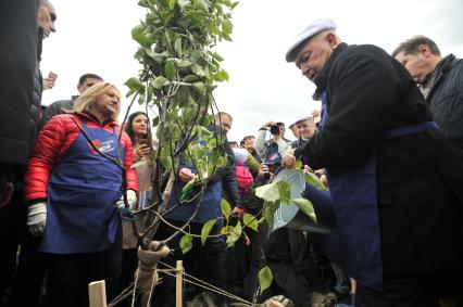 Москва. Бывший мэр Москвы Юрий Лужков с супругой Еленой Батуриной во время посадки фруктового дерева на субботнике в честь его 80-летия   в музее-заповеднике `Коломенское`.