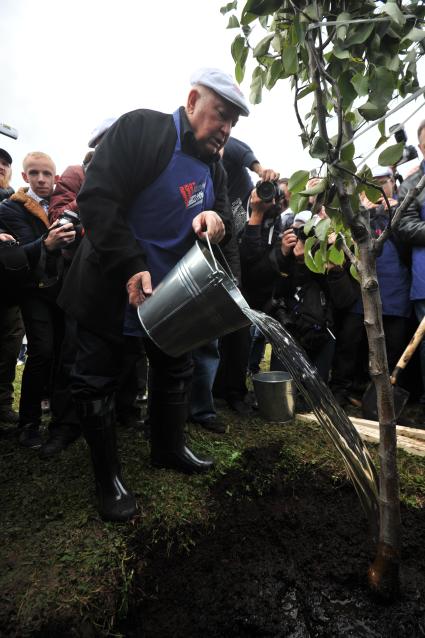 Москва. Бывший мэр Москвы Юрий Лужков на субботнике, приуроченном к его 80-летию, в музее-заповеднике `Коломенское`.