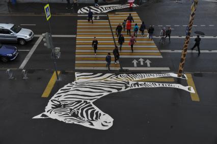 Москва.  Пешеходный переход с рисунком зебры у Московского зоопарка.