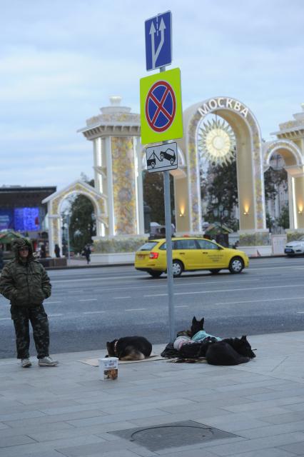 Москва.    Мужчина с собаками собирает деньги  на приют для животных на Тверской улице.