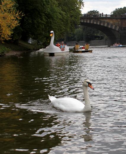 Чехия, Прага. Туристы катаются на катамаране в форме лебедя.